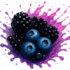 BERRY BLACKOUT
